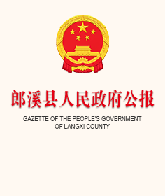 县政府公报2025年第1期