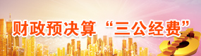 三公经费