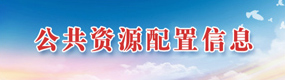 公共资源配置