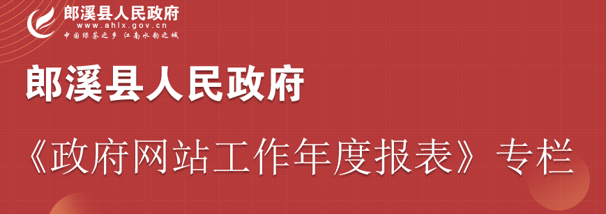 《政府网站工作年度报表》专栏