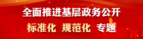 基层政务公开两化专题